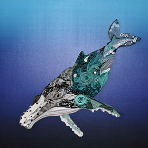 Quilled Humpback Whale Diving