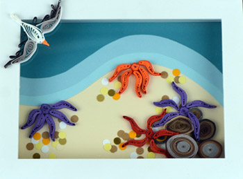 Quilled Sea Stars